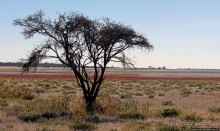 Селфдрайв по национальному парку Этоша. Вечерняя проба