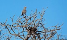 Селфдрайв по национальному парку Этоша. Вечерняя проба