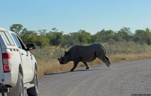 Селфдрайв по национальному парку Этоша. Вечерняя проба