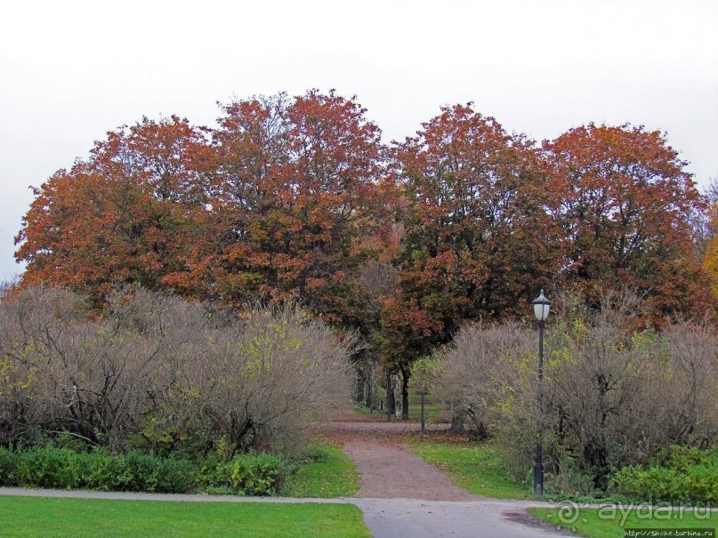 Красивейший городской парк Осло, не "украшенный" Вигеландом