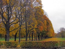 Красивейший городской парк Осло, не "украшенный" Вигеландом