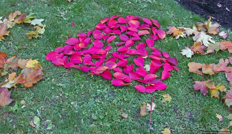 Красивейший городской парк Осло, не "украшенный" Вигеландом