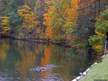 Красивейший городской парк Осло, не "украшенный" Вигеландом