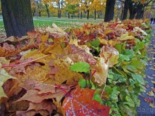 Красивейший городской парк Осло, не "украшенный" Вигеландом