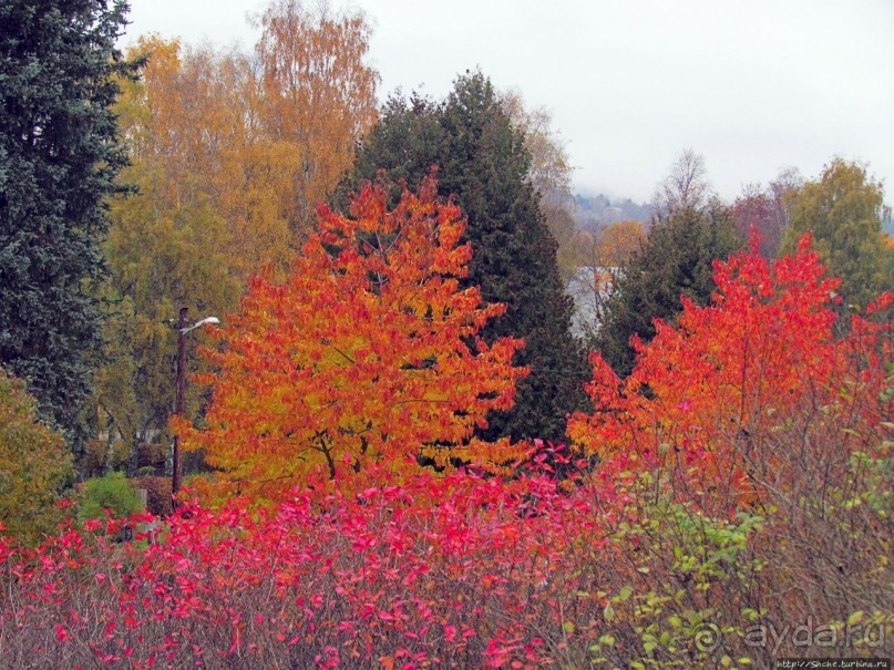 Красивейший городской парк Осло, не "украшенный" Вигеландом