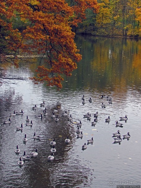 Красивейший городской парк Осло, не "украшенный" Вигеландом