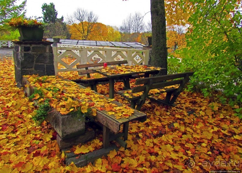 Красивейший городской парк Осло, не "украшенный" Вигеландом