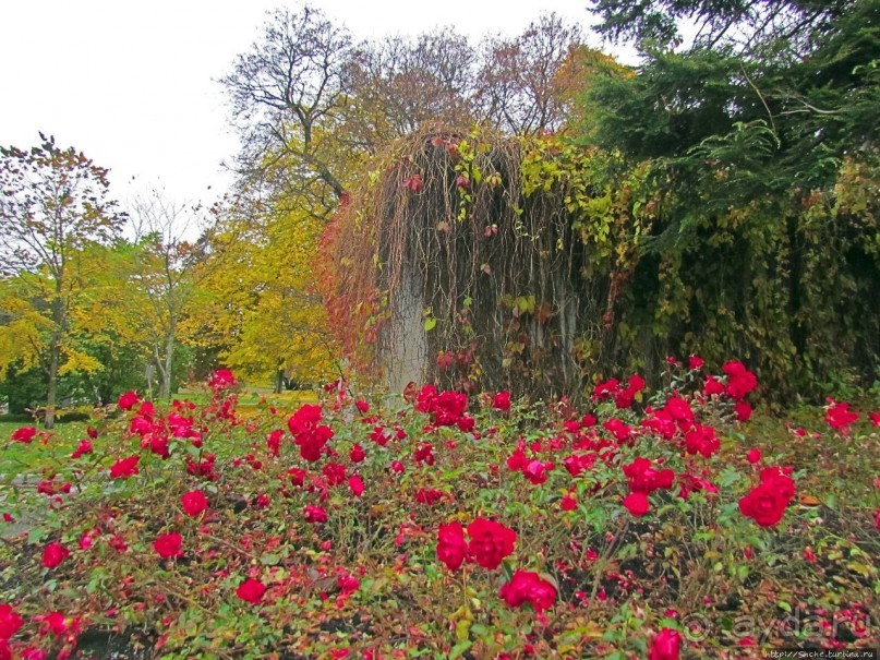 Красивейший городской парк Осло, не "украшенный" Вигеландом