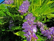 Будва. Окончательный анализ