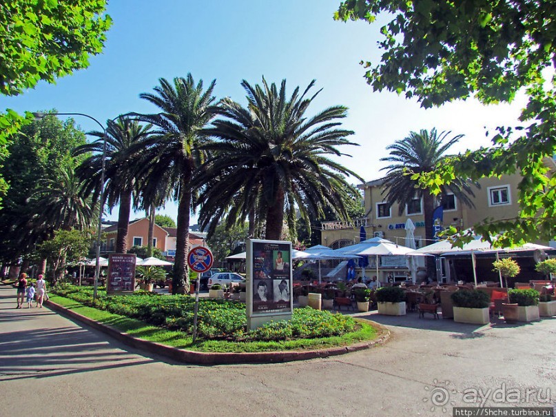 Альбом отзыва "Будва. Окончательный анализ"