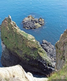 "Птичий базар" в исландском нац. парке Snaefellsjokull