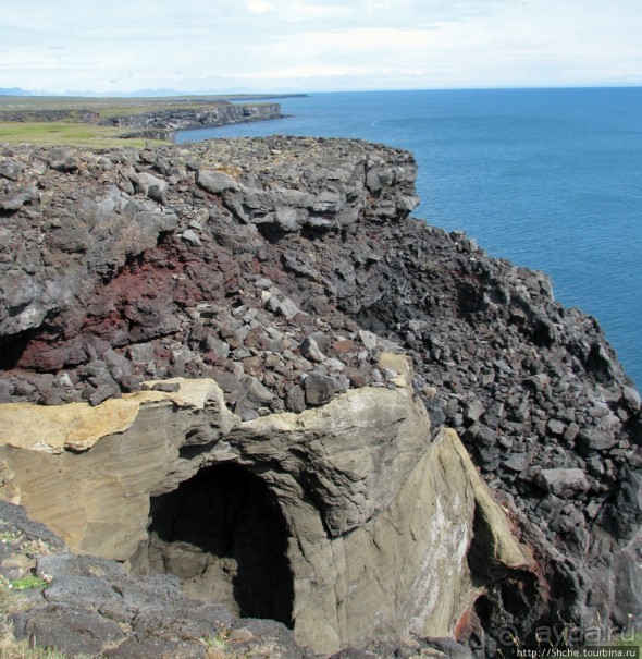 Альбом отзыва ""Птичий базар" в исландском нац. парке Snaefellsjokull"