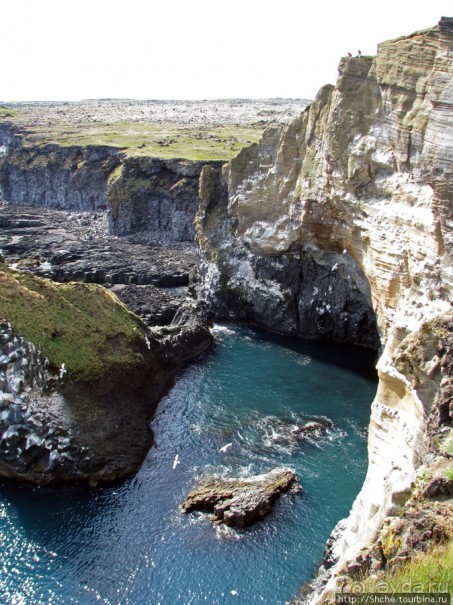 Альбом отзыва ""Птичий базар" в исландском нац. парке Snaefellsjokull"