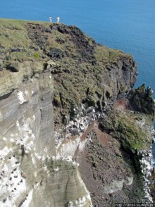 Альбом отзыва ""Птичий базар" в исландском нац. парке Snaefellsjokull"