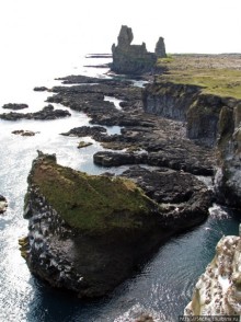 Альбом отзыва ""Птичий базар" в исландском нац. парке Snaefellsjokull"