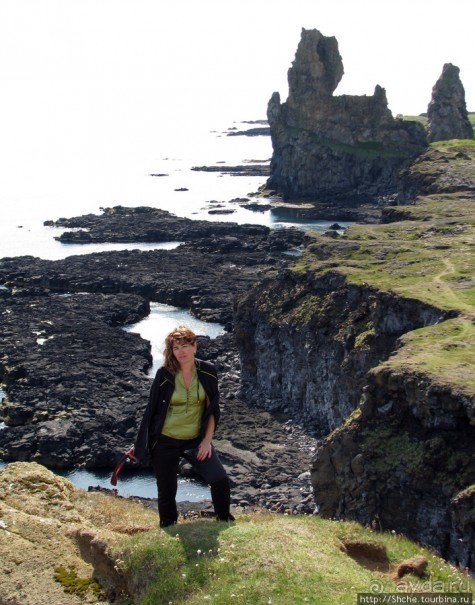 "Птичий базар" в исландском нац. парке Snaefellsjokull