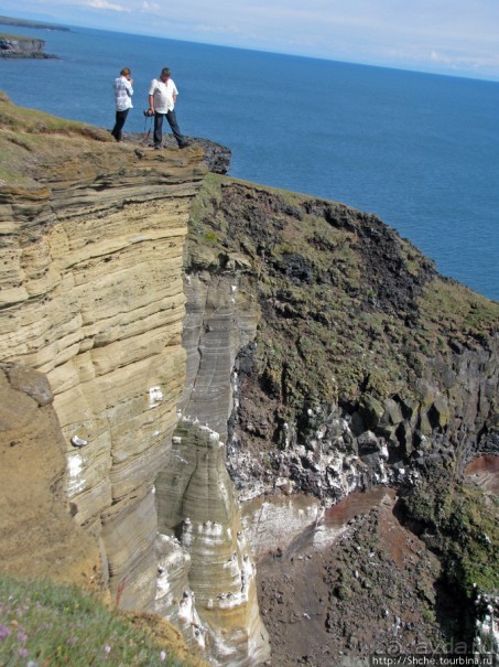 "Птичий базар" в исландском нац. парке Snaefellsjokull