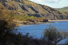 Побережье Дорсетшира и Восточного Девоншира (ЮНЕСКО 1029)