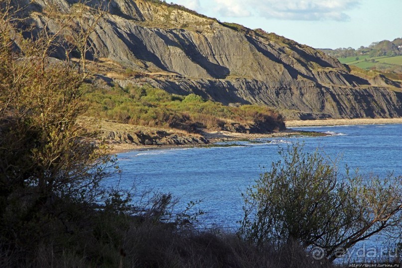 Побережье Дорсетшира и Восточного Девоншира (ЮНЕСКО 1029)