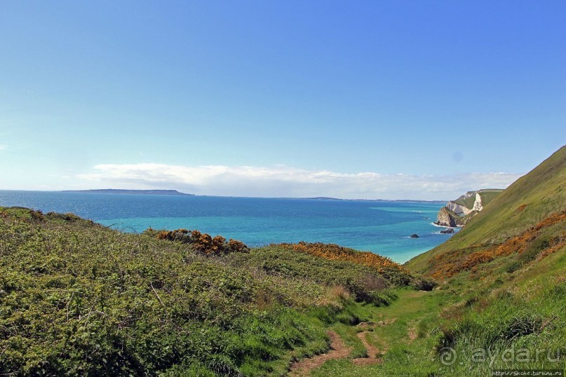 Побережье Дорсетшира и Восточного Девоншира (ЮНЕСКО 1029)