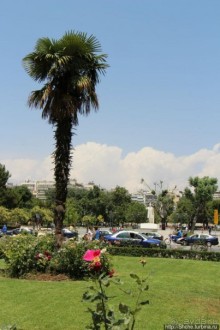 Туристические центры в Салониках — площадь Аристотеля