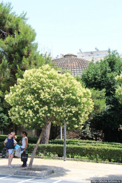 Туристические центры в Салониках — площадь Аристотеля