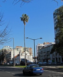 Лиссабонские картинки