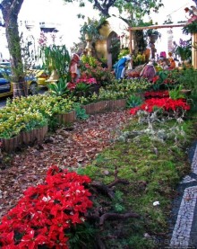 Альбом отзыва "Рождественский вертеп по-португальски"