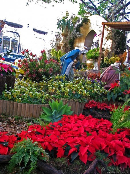 Альбом отзыва "Рождественский вертеп по-португальски"