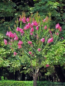 Требинье — жемчужина Восточной Герцеговины