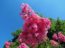 Требинье — жемчужина Восточной Герцеговины