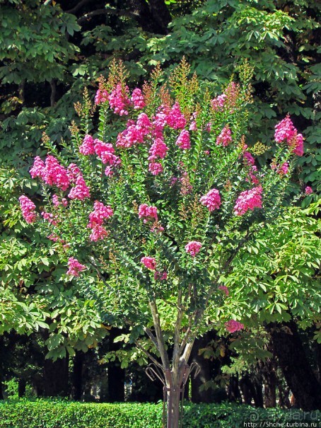 Требинье — жемчужина Восточной Герцеговины