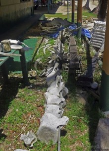 Остров Койба и его особо охраняемая акватория (ЮНЕСКО 1138)