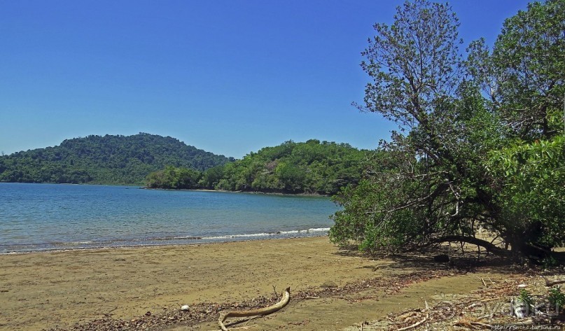 Остров Койба и его особо охраняемая акватория (ЮНЕСКО 1138)