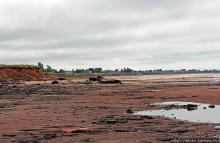 Берег красного песка. Городок Виктория Приморская