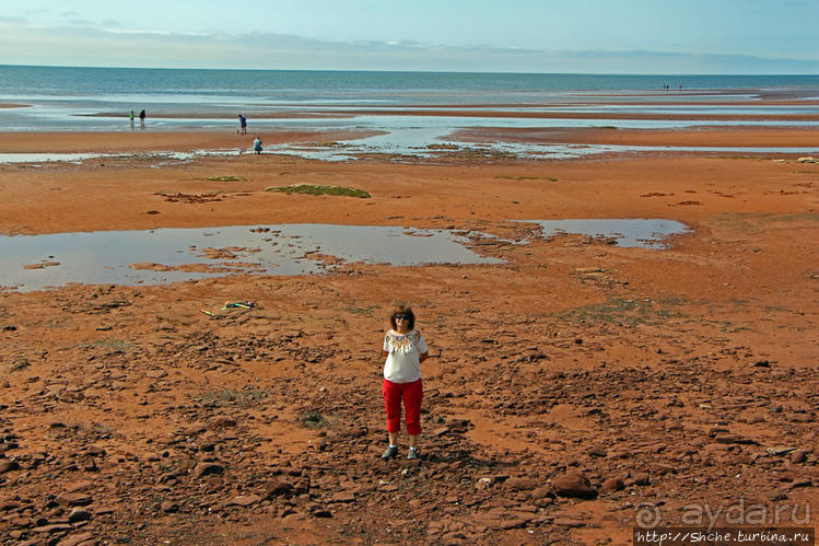 Берег красного песка. Городок Виктория Приморская