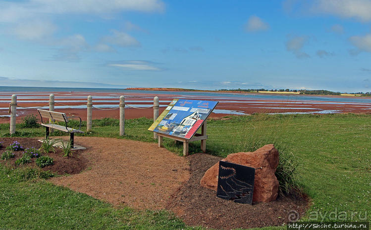 Берег красного песка. Городок Виктория Приморская