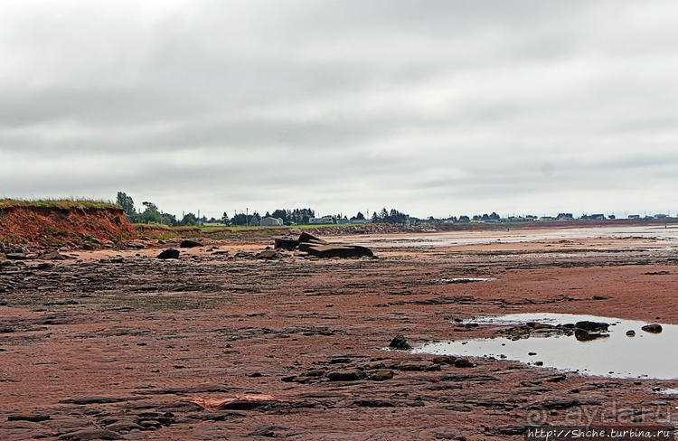 Берег красного песка. Городок Виктория Приморская