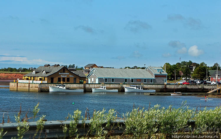 Берег красного песка. Городок Виктория Приморская