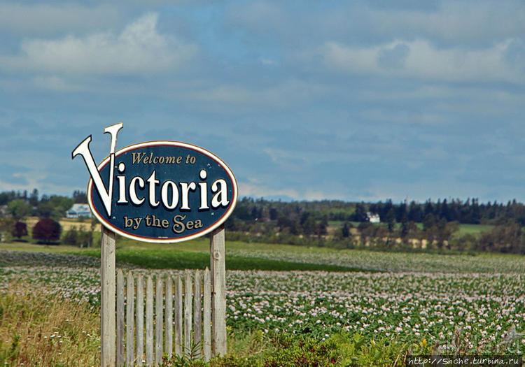 Берег красного песка. Городок Виктория Приморская