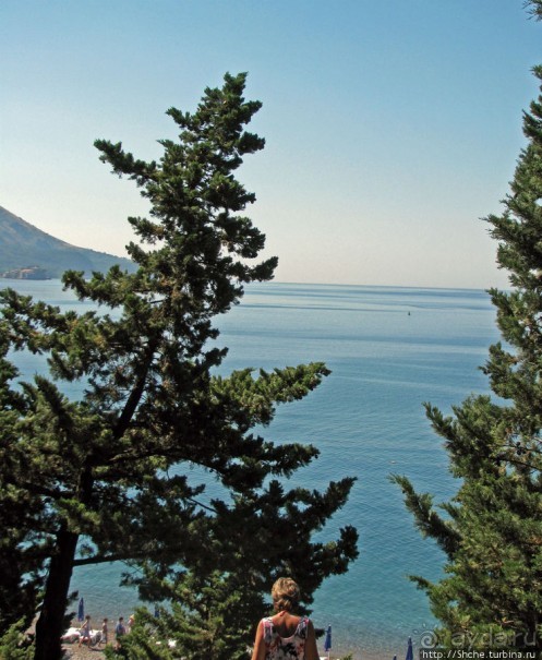 Воспоминания о Бечичи