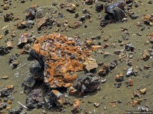 Остров Бартоломе — прогулка по лавовым полям и склонам