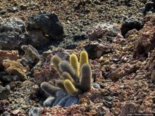 Остров Бартоломе — прогулка по лавовым полям и склонам