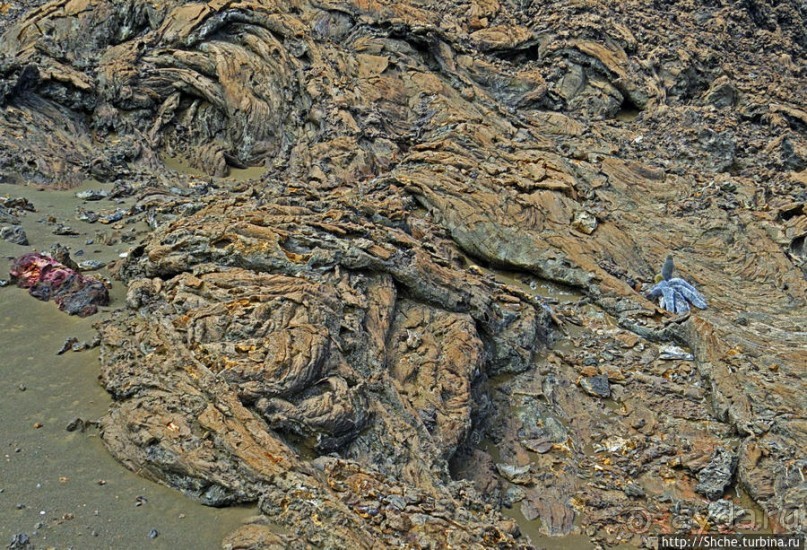 Остров Бартоломе — прогулка по лавовым полям и склонам