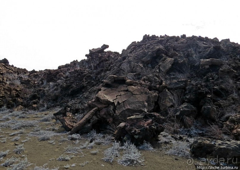 Остров Бартоломе — прогулка по лавовым полям и склонам