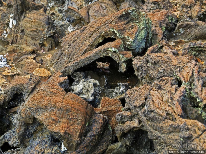 Остров Бартоломе — прогулка по лавовым полям и склонам