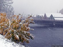 Золотая осень в Норвегии. Комбинации желтого и белого золота