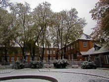 Золотая осень в Норвегии. Комбинации желтого и белого золота