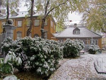 Золотая осень в Норвегии. Комбинации желтого и белого золота