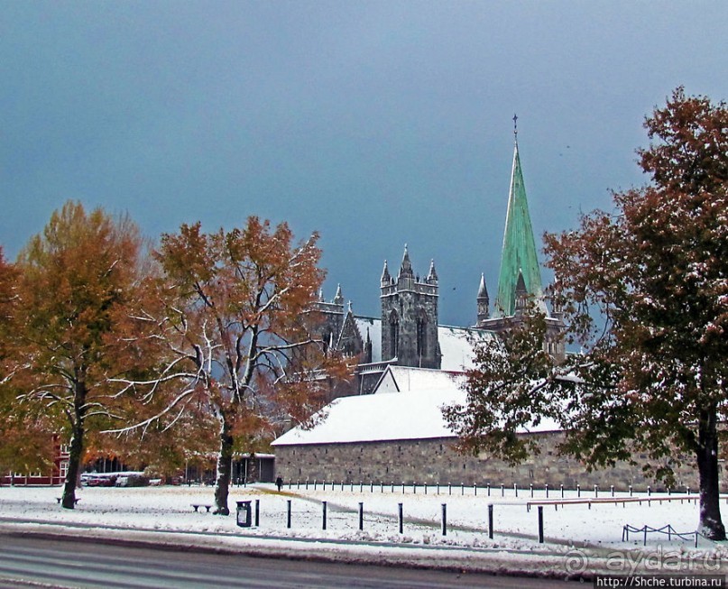 Золотая осень в Норвегии. Комбинации желтого и белого золота